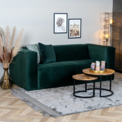 Velvet bank 2,5-zits Memphis groen - Afbeelding 3