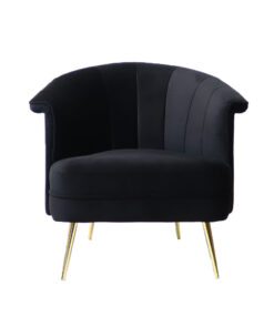 moderne-fauteuil-amy-velvet-zwart-gouden-poten-2.jpg