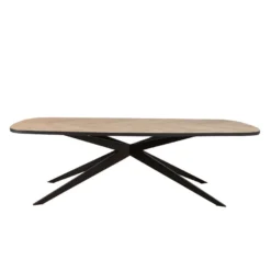 bronx71-eettafel-visgraat-deens-ovaal-ingo-pvc-240
